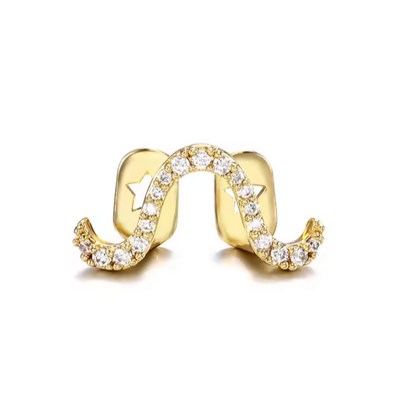 Iced Curve Tooth Grillz